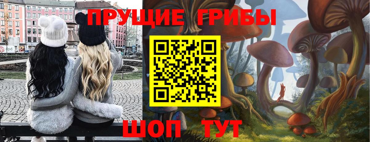 Галлюциногенные грибы мухоморы Горно-Алтайск